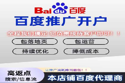 竞价推广公司案例：实战技巧与策略
